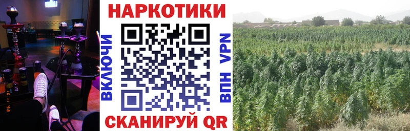 Что такое Валуйки Псилоцибиновые грибы  MEGA сайт  А ПВП  Конопля 