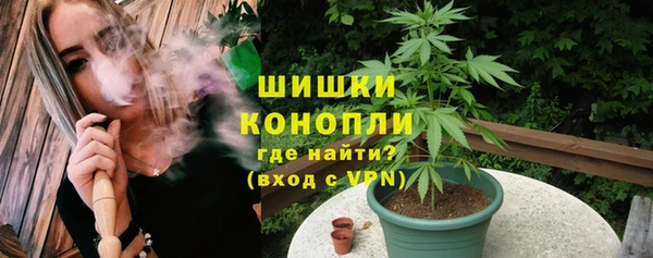 первитин Богданович