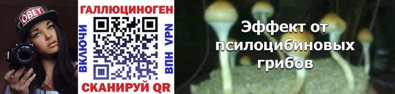 Галлюциногенные грибы мицелий Валуйки