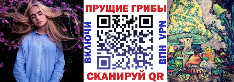 Галлюциногенные грибы Psilocybe  цена наркотик  Валуйки 